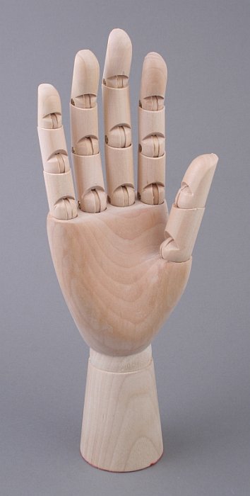 Model dłoni kobiecej
